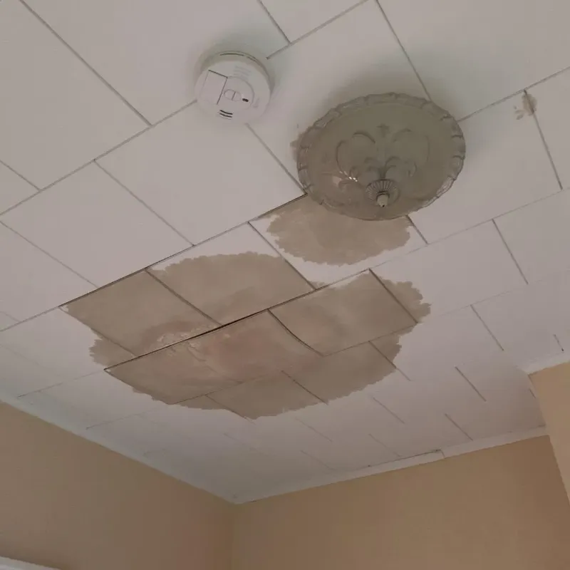 Ceiling Water Damage Repair in Woodside East, DE