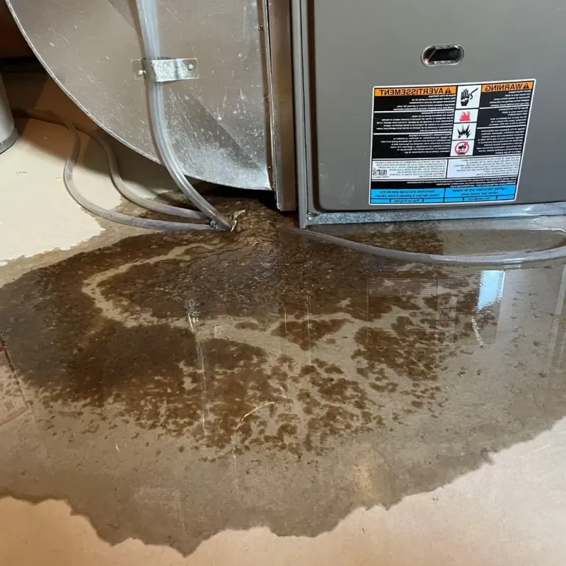 Pipe Burst and Leak Restoration in Woodside East, DE