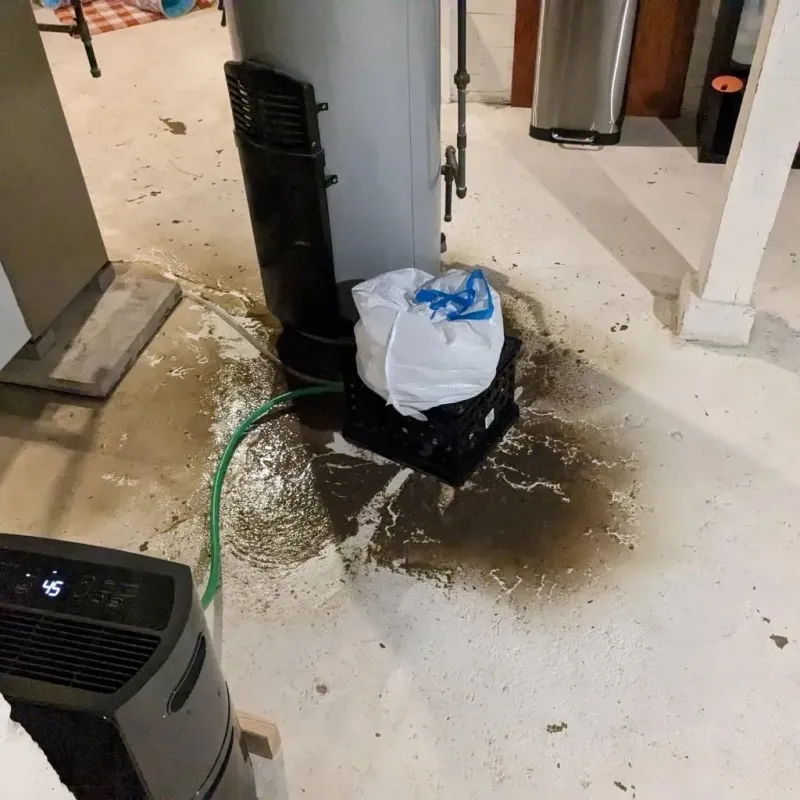Sewage Backup Cleanup Service in Woodside East, DE